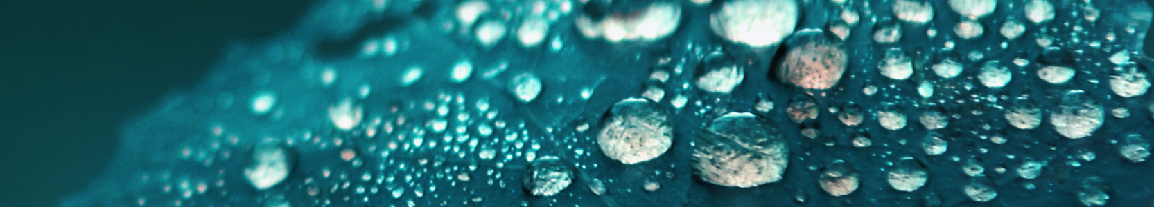 Barrow Hanley Global Share Fund - Class S