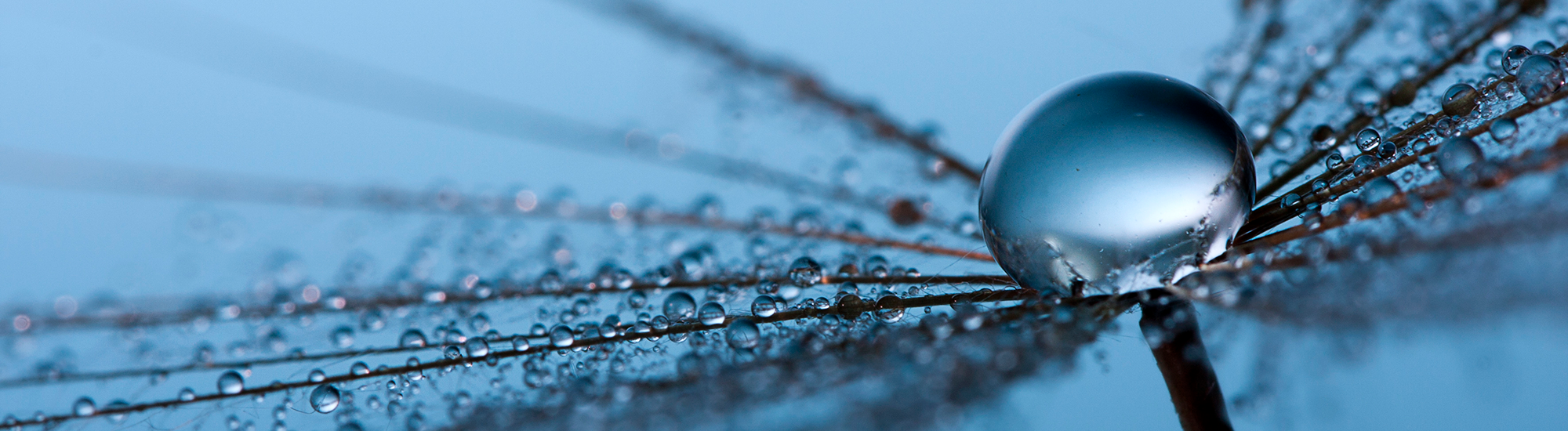 Perpetual Pure Value Share Fund - Class P