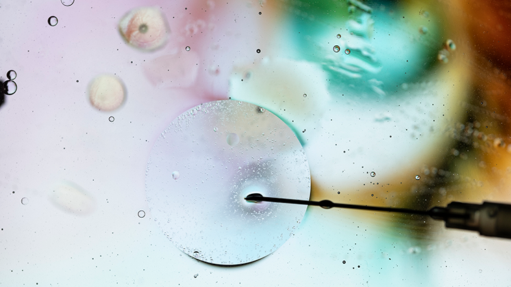 Foundations, associations and communities